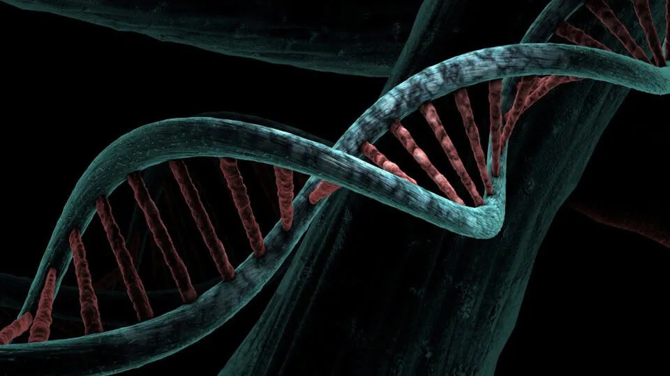 A DNA double helix
