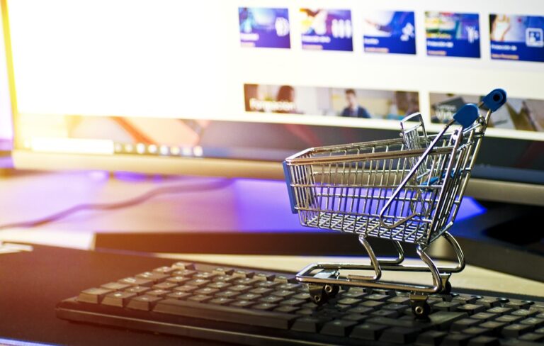 E-Commerce Growth Strategies: Unlocking the Potential of Your Online Business