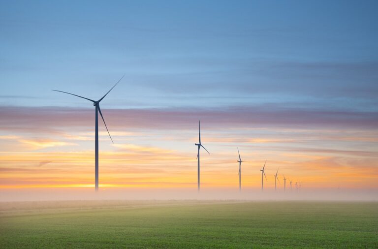 Embracing the Future: The Rise of Renewable Energy Adoption